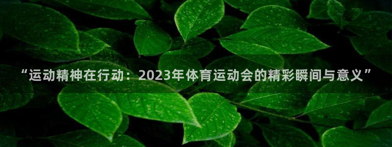 欧亿体育官方正版app娱乐网站:“运动精神在行动:2023年