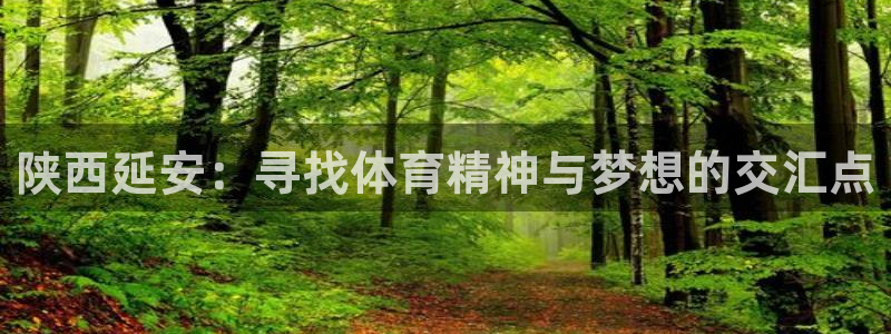 oety欧亿体育官网下载是干嘛的公司:陕西延安:寻找体育精神